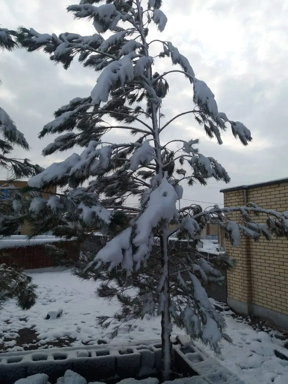 خانه درب به حیاط اجاره ای