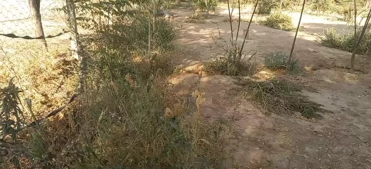 فروش یا معاوضه با خودرو