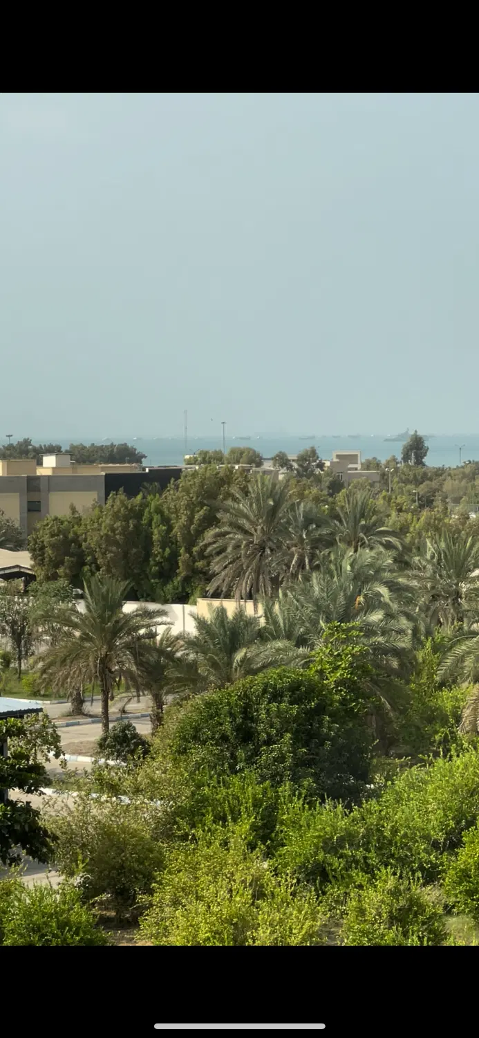 تجاری بلوار ابن سینا
