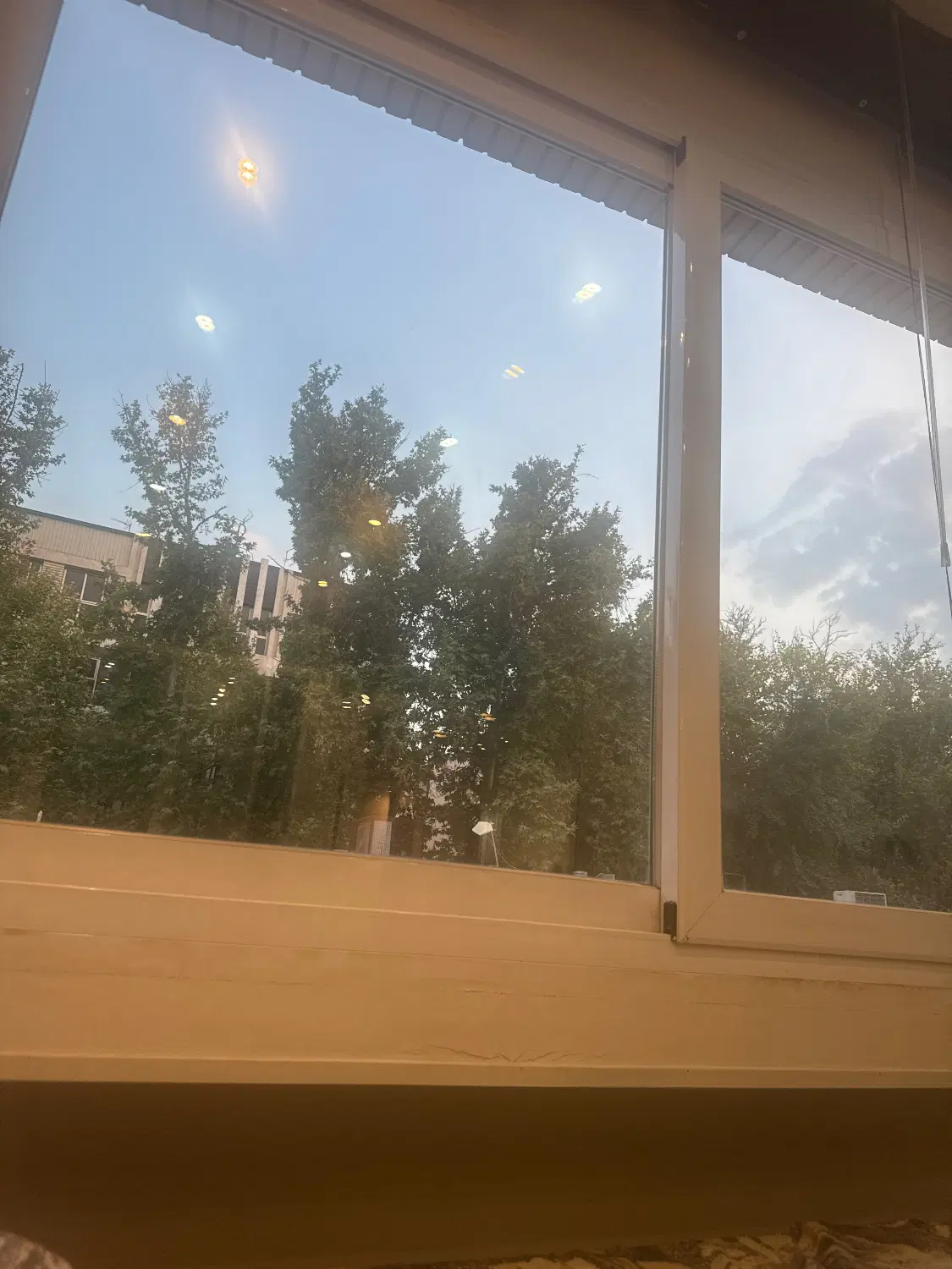 نیازمند هم خانه همخانه همخونه