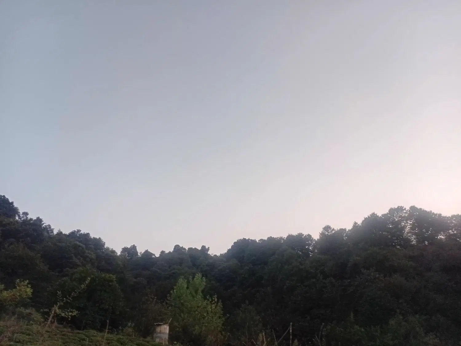 ۳۰۰ متر مربع زمین بفروش میرسد