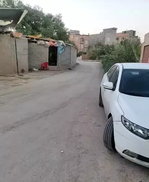 باغ باغچه سند تک برگ کاربری باغچه ویلا