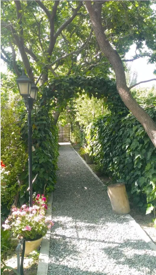 فروش باغ