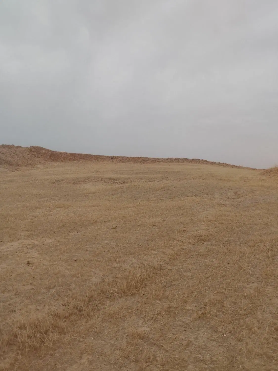 فروش زمین درشوشتر