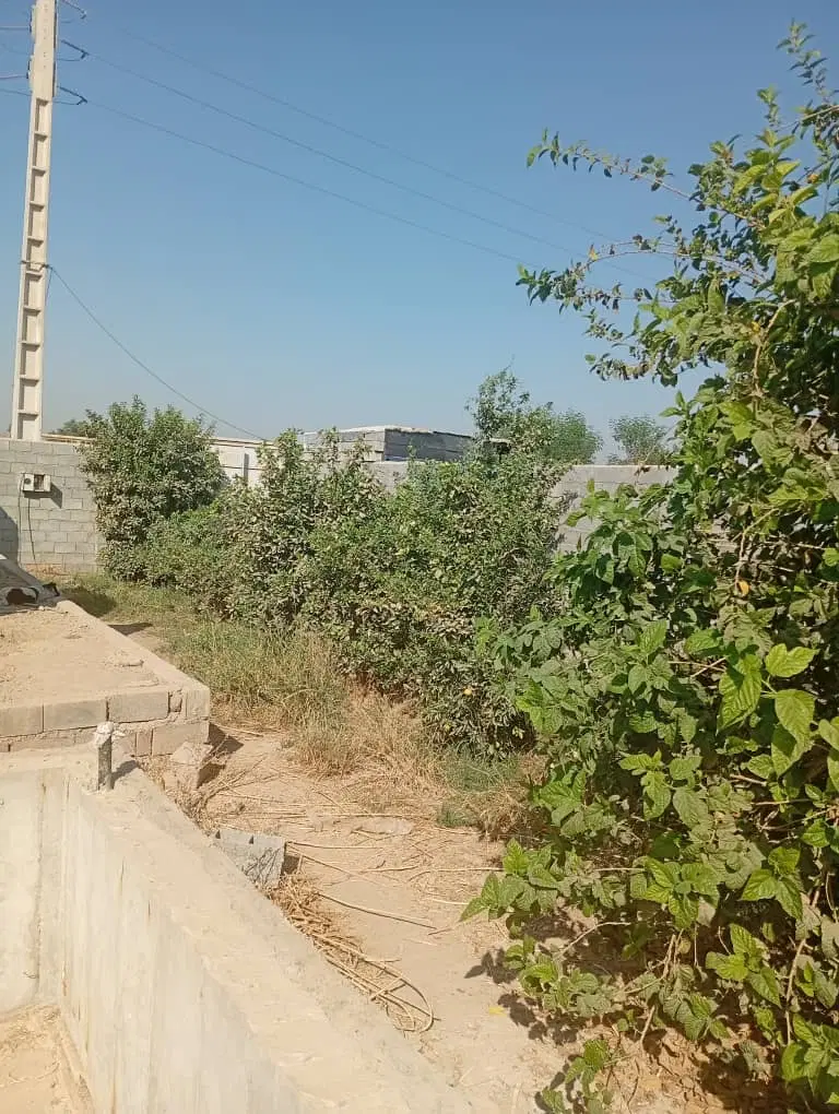 باغچه ۵۰۰ متری سر دو نبش عباس آباد نیم ساخته