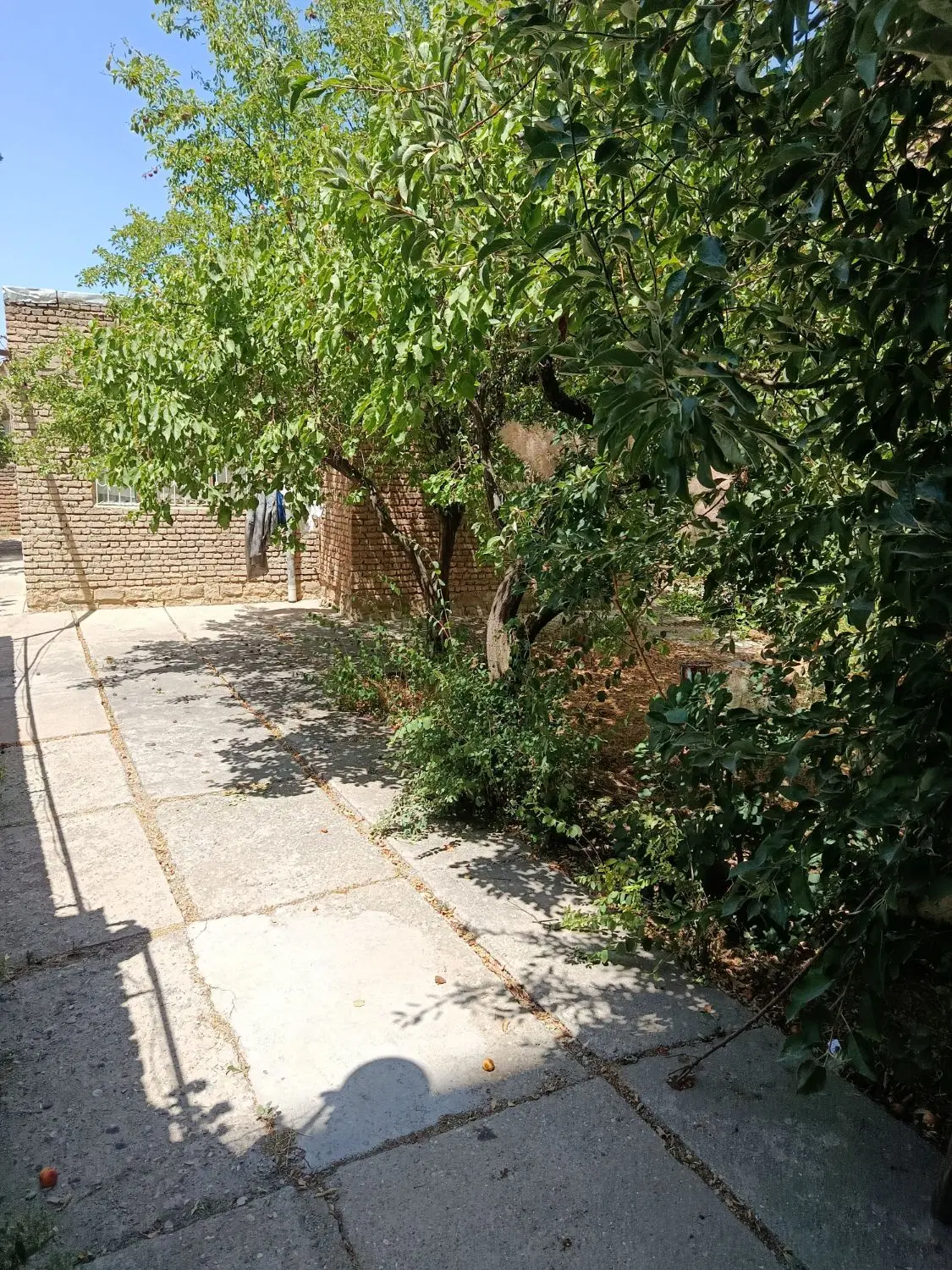 خانه آزادگان ( زمین)