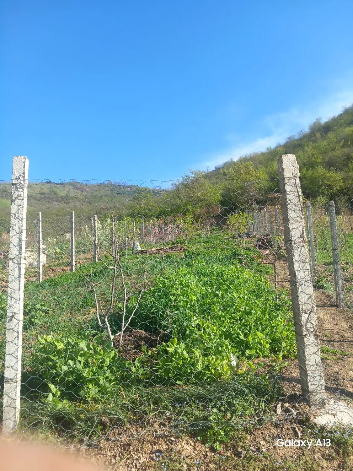 زمین فروشی روستای توریستی قورچای