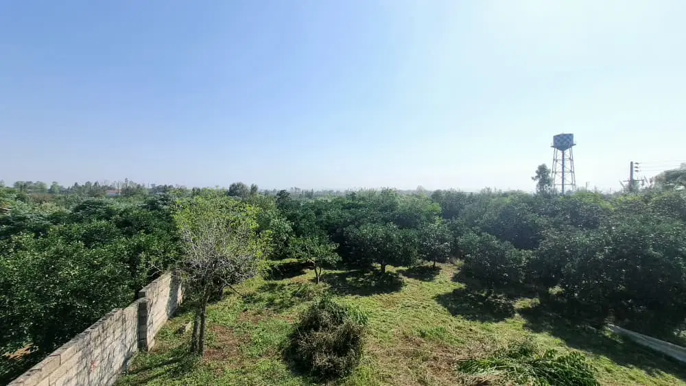 زمین با سند مسکونی و باغی ۸۱۰ متر