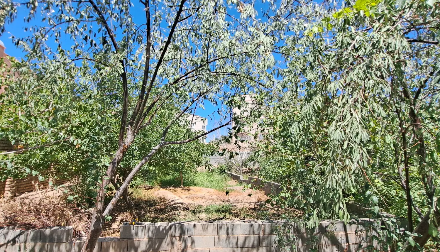 زمین مسکونی