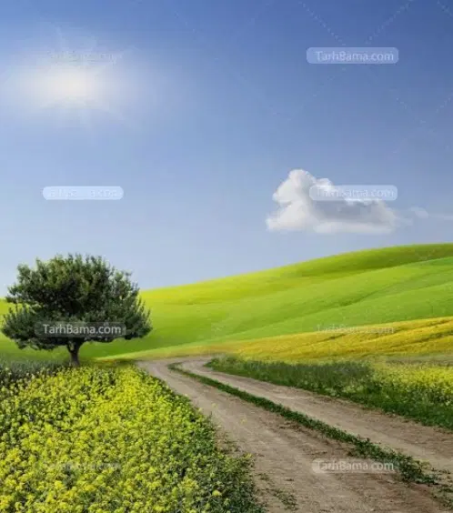 زمین کشاورزی روستای هشون