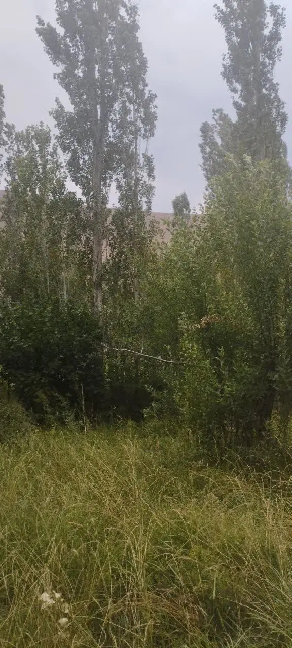 باغ کشاورزی