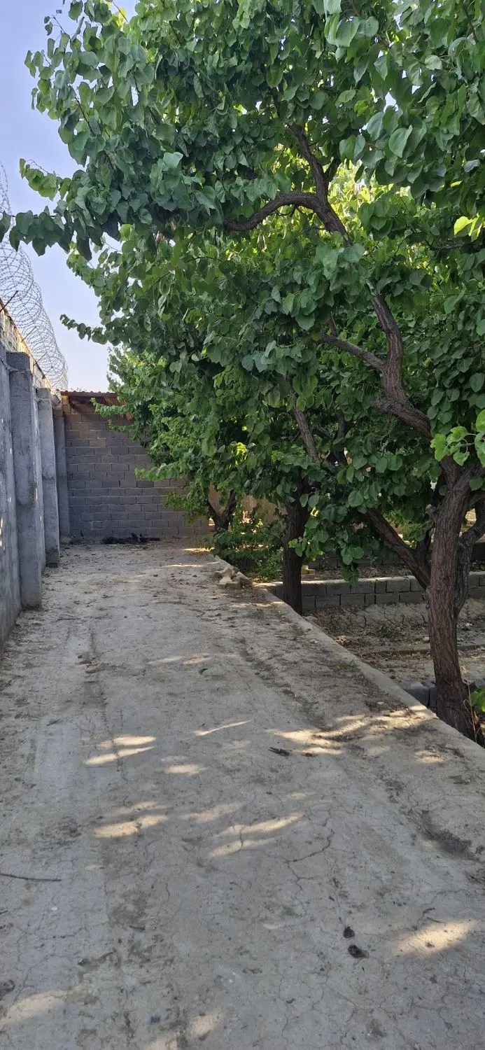 ۵۰۰ متر باغ ۴ دیواری سند تکبرگ شهریار کردزار