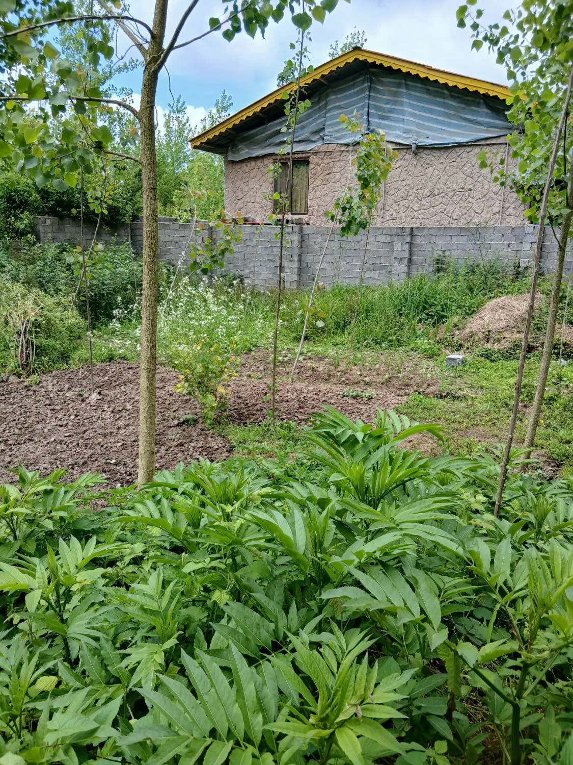 زمین مسکونی رودبنه لاکمسر