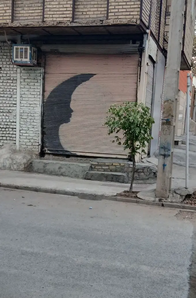 مغازه ۱۲ متری ،خ ولیعصر
