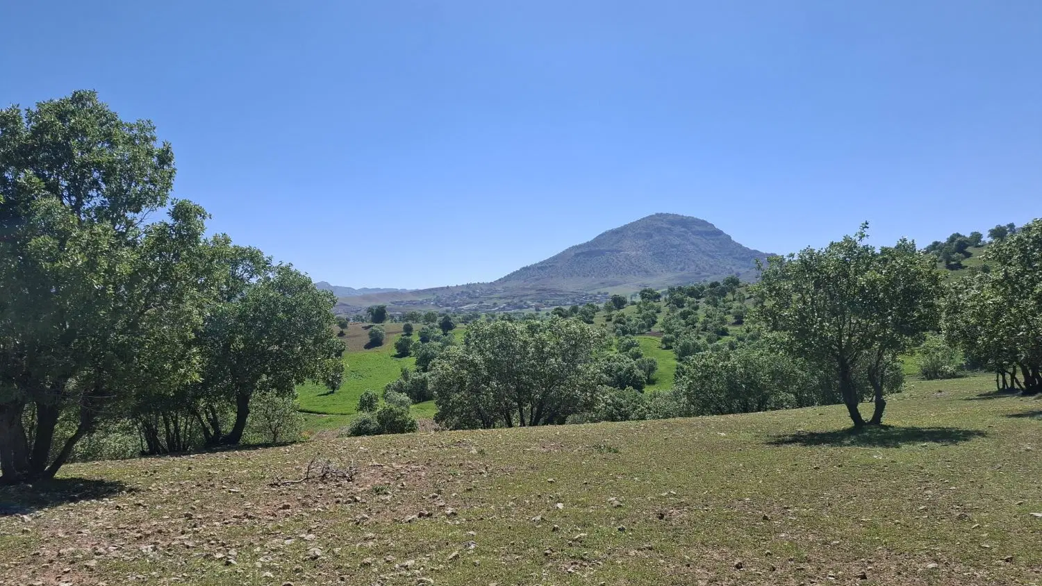 فروش زمین ساختمی