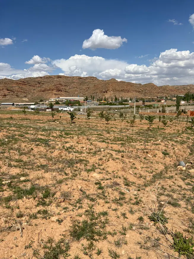 ۱۰۰۰متر زمین در آرپادرسی