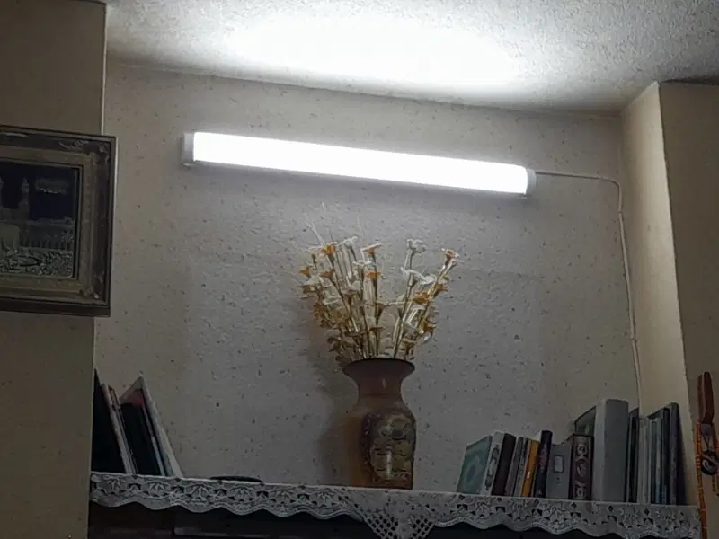 هم خانه همخونه همخانه