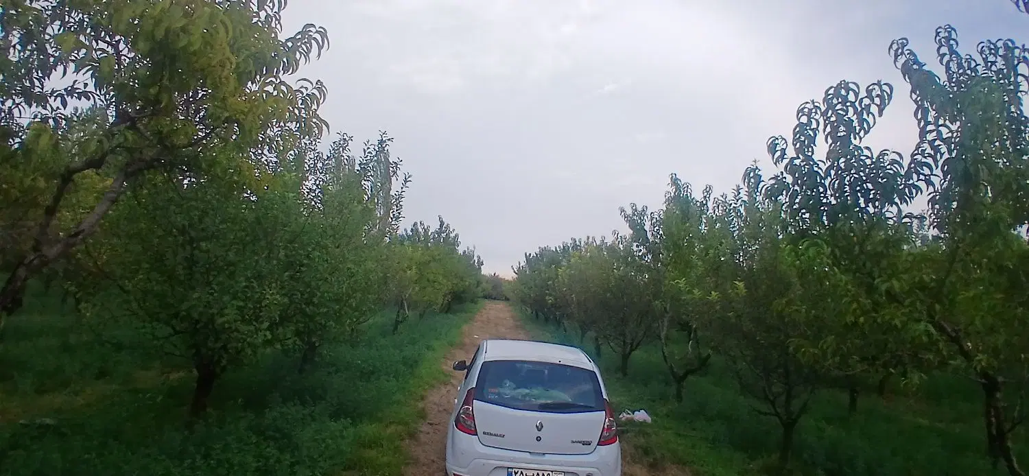 فروش باغ در روستای درشک