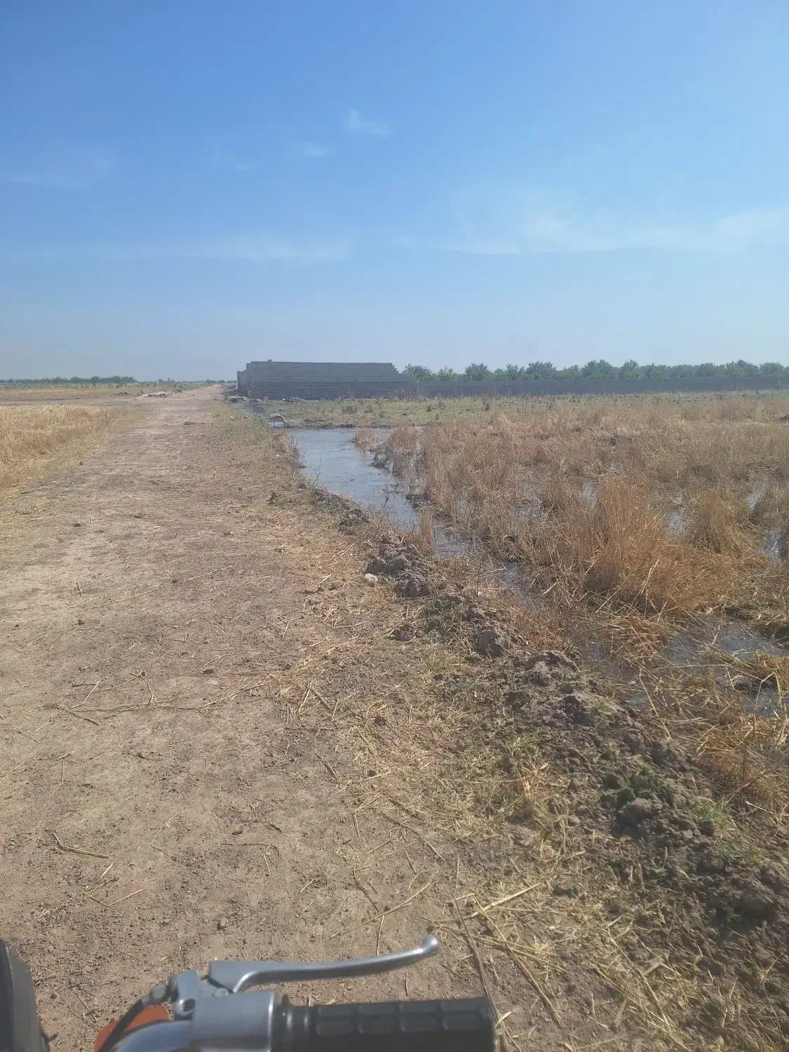 زمین برای باغ
