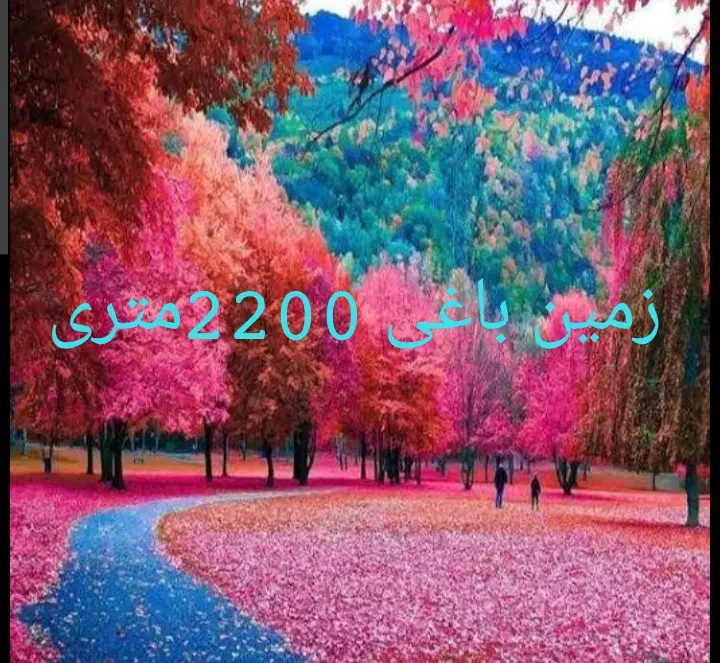 زمین منجیل اباد