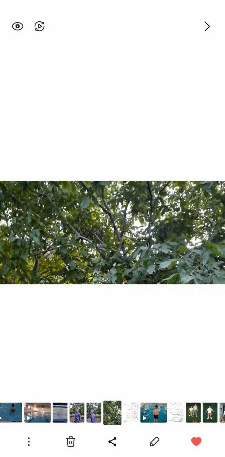 باغ گردو