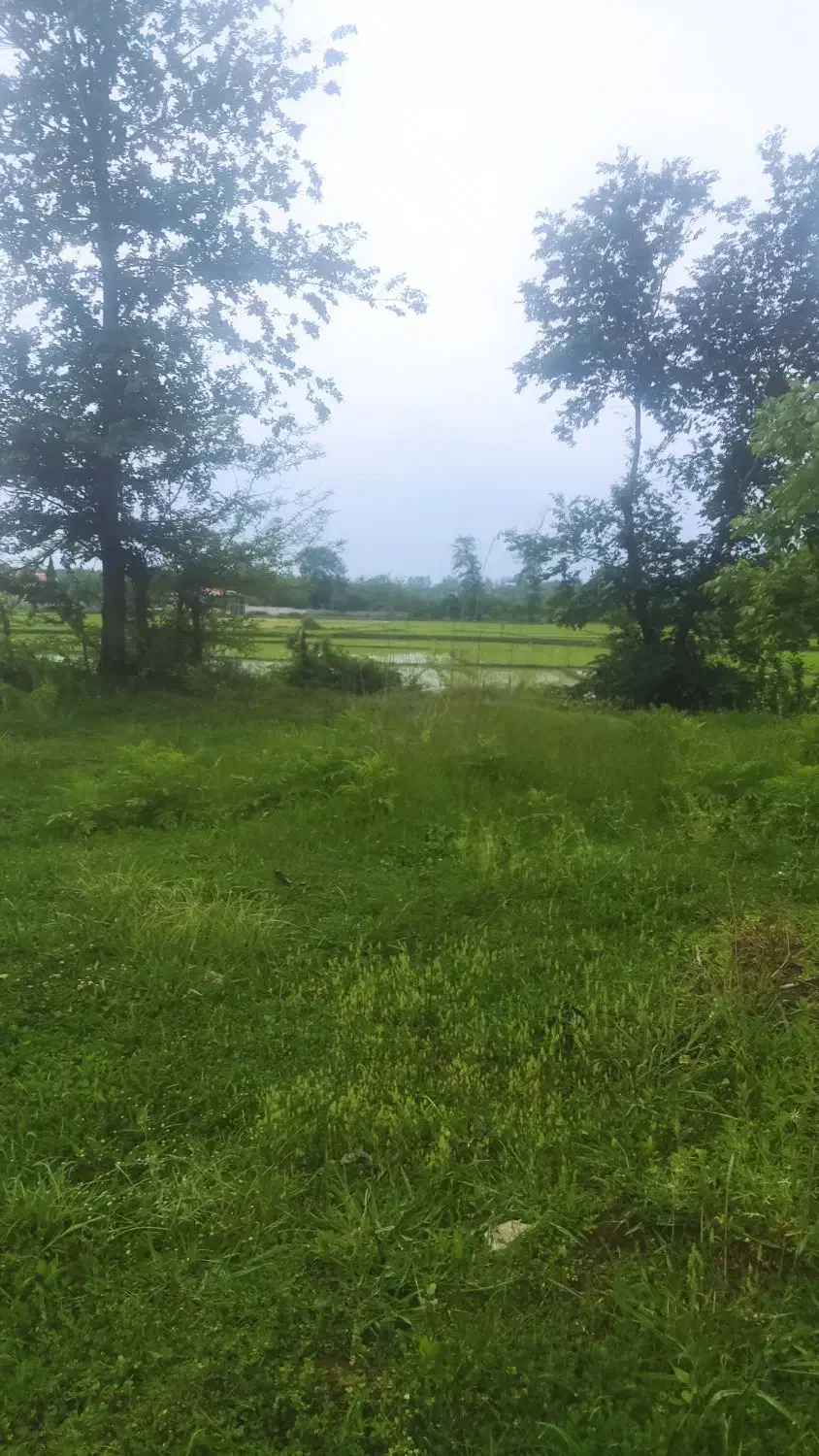 زمین فوق العاده روستایی