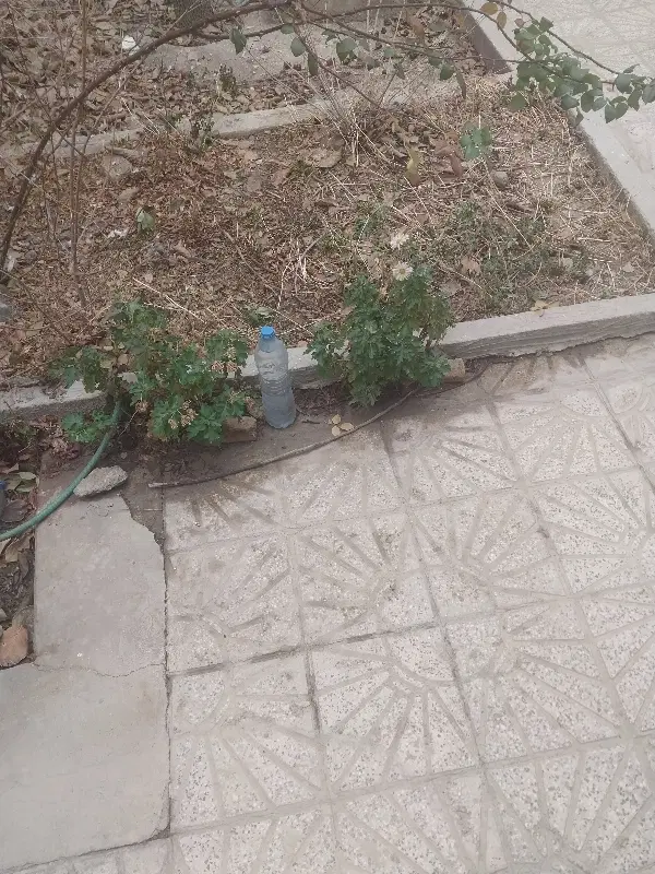 واحد اجاره ای ۱۲۰ متری