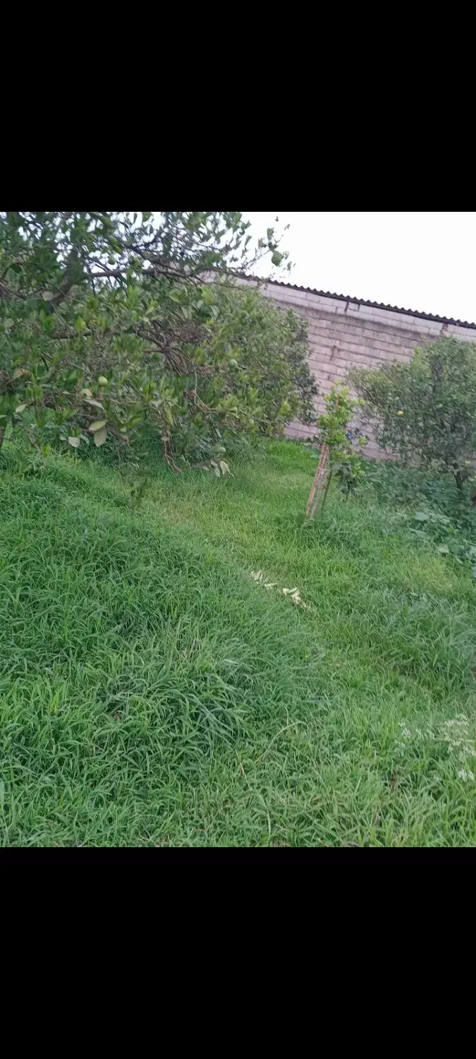 ۱۶۰متر زمین روستای ناریوران زوارده و معاوضه ماشین