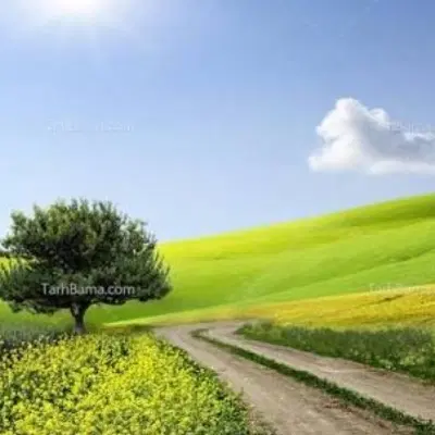 زمین هفت چشمه