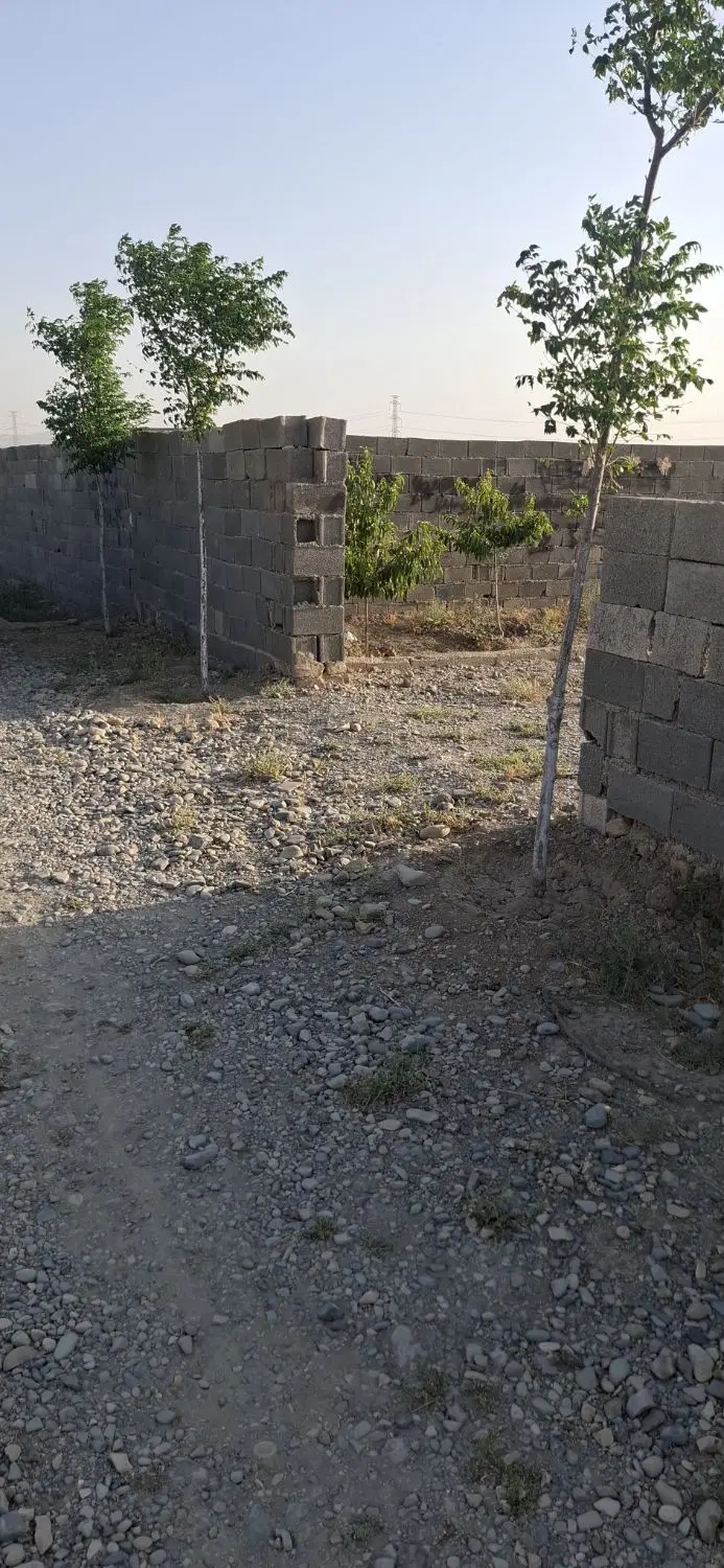 دو باغچه به متراژ ۳۰۰ و۲۵۰ متری نزدیک بافت