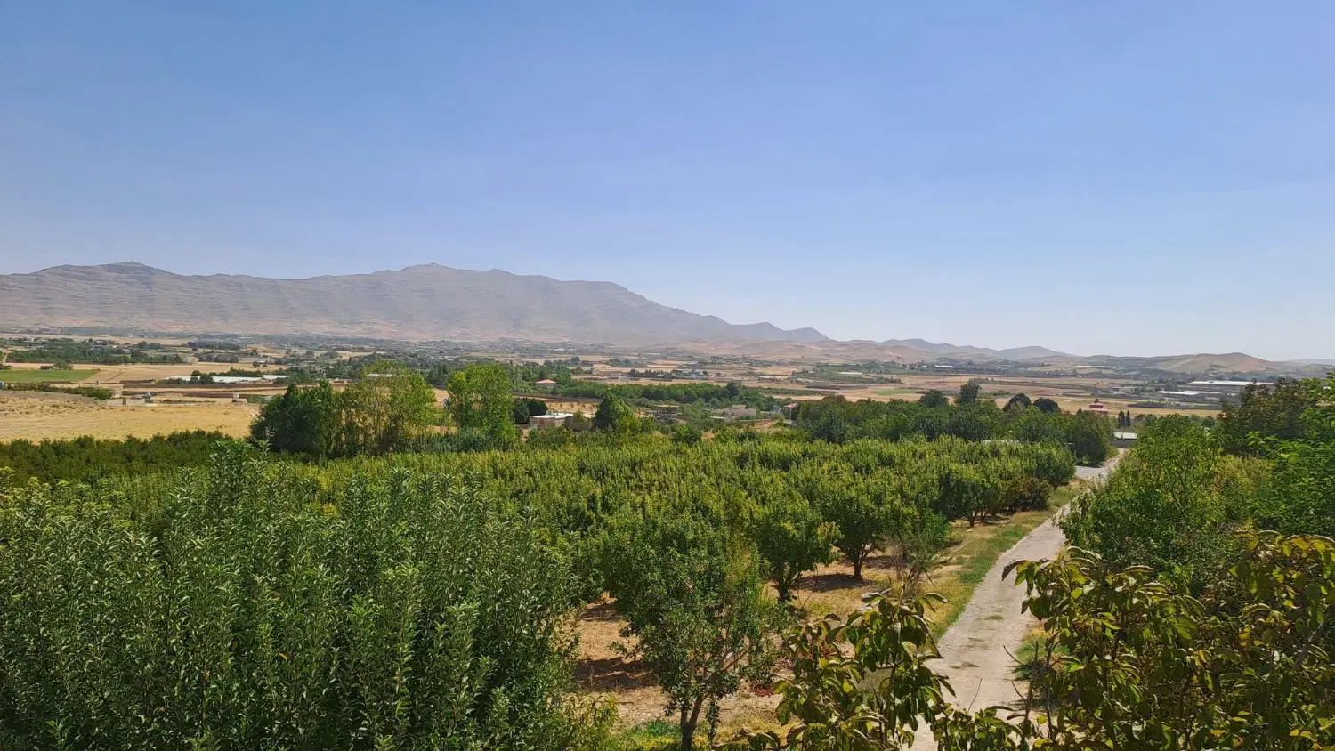 باغ سندار خان زنیان شیراز
