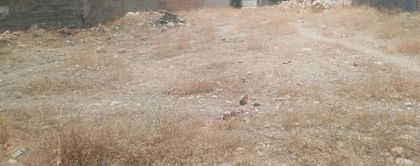 زمین مسکونی