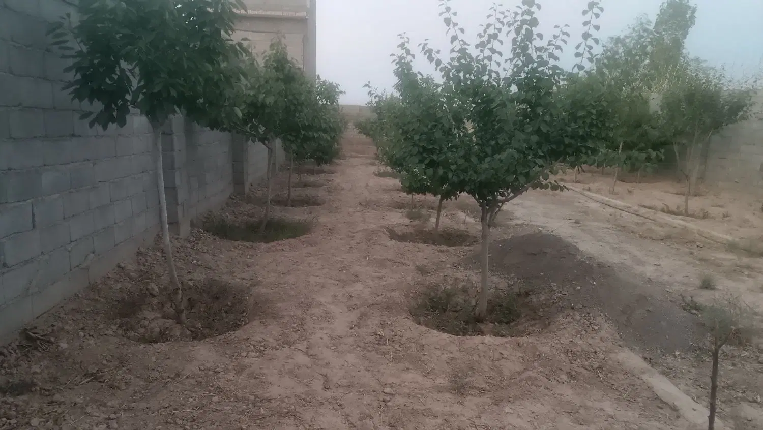 باغچه 500متری