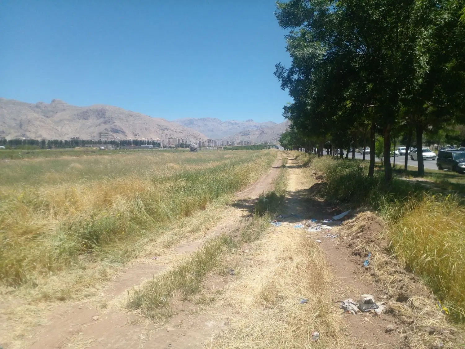 فروش زمین بر جاده ده پهن