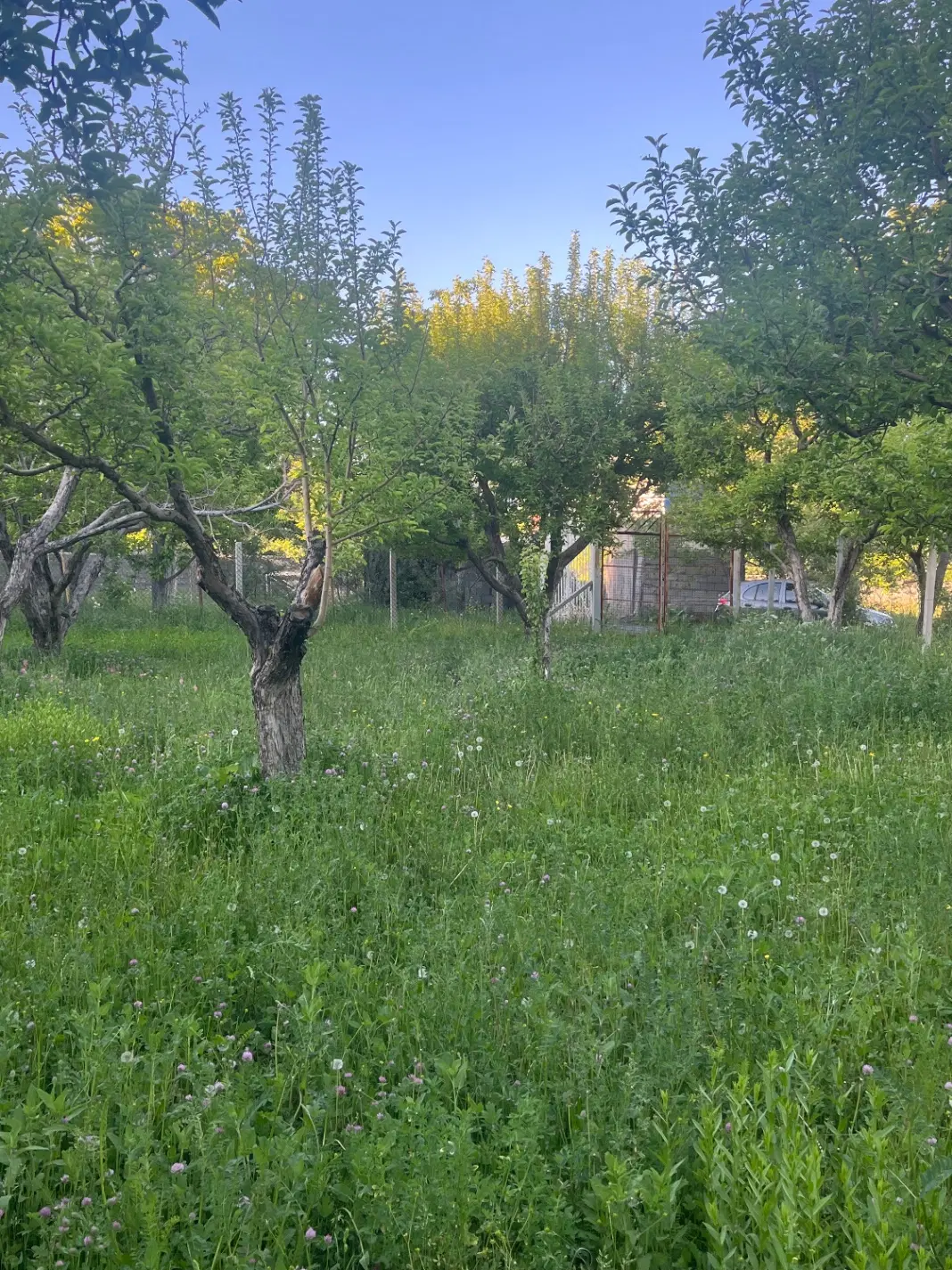 باغ ویلایی در سیوان صوفیان