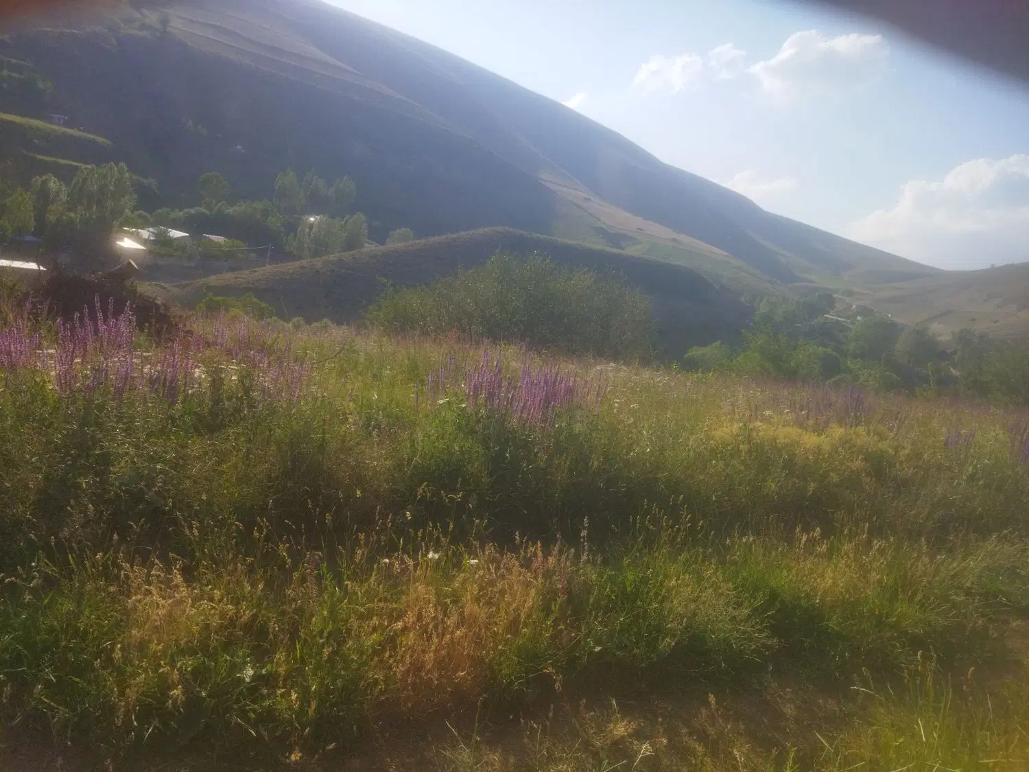 باغ در گلوجه طاق با خانه