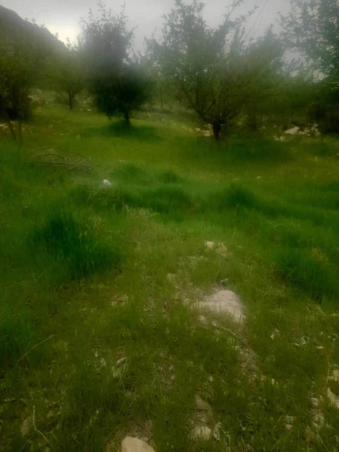 فروش ۴۲۰مترزمین