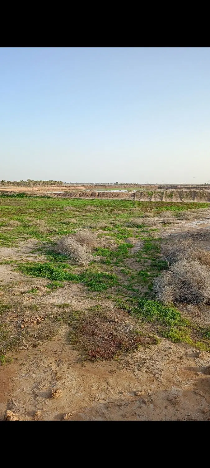 زمین مسکونی محمدصالحی