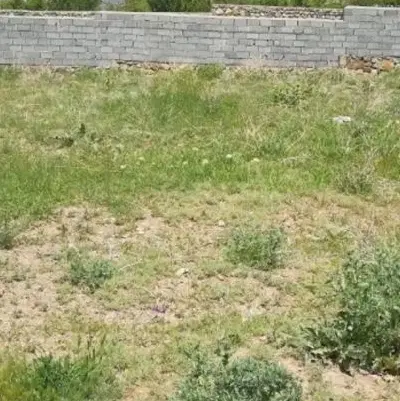 ملک