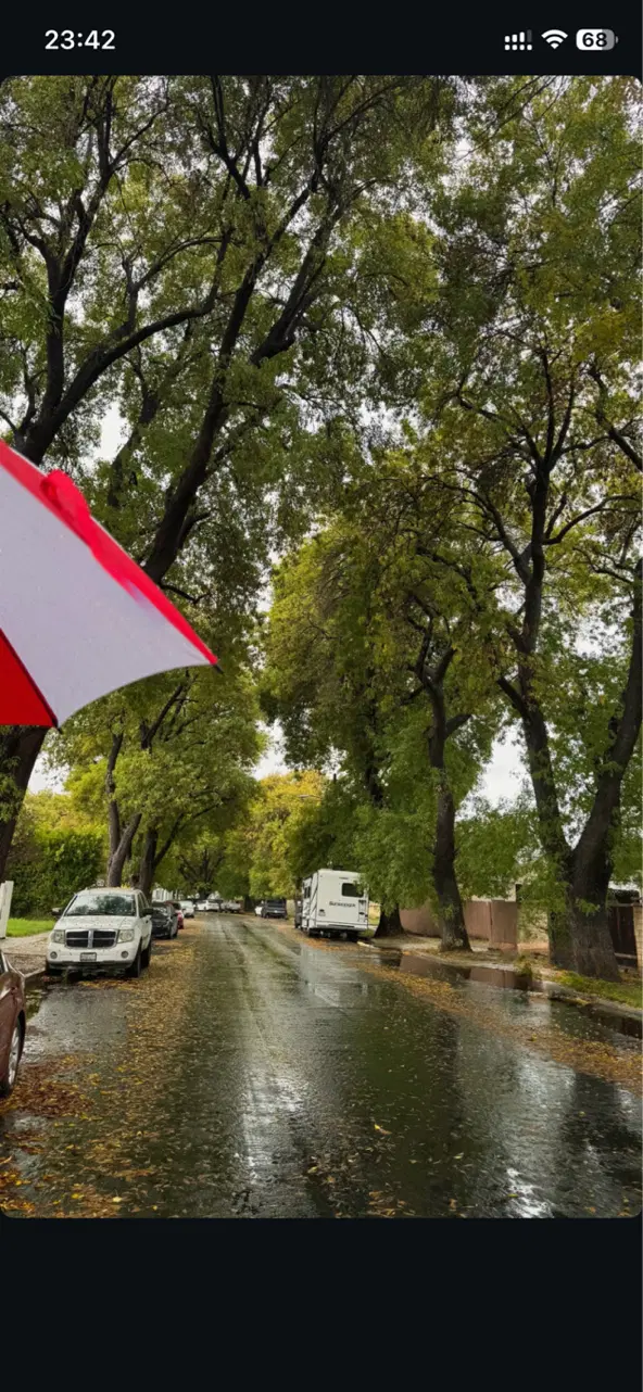 ۱۹ هکتار زمین کشاورزی