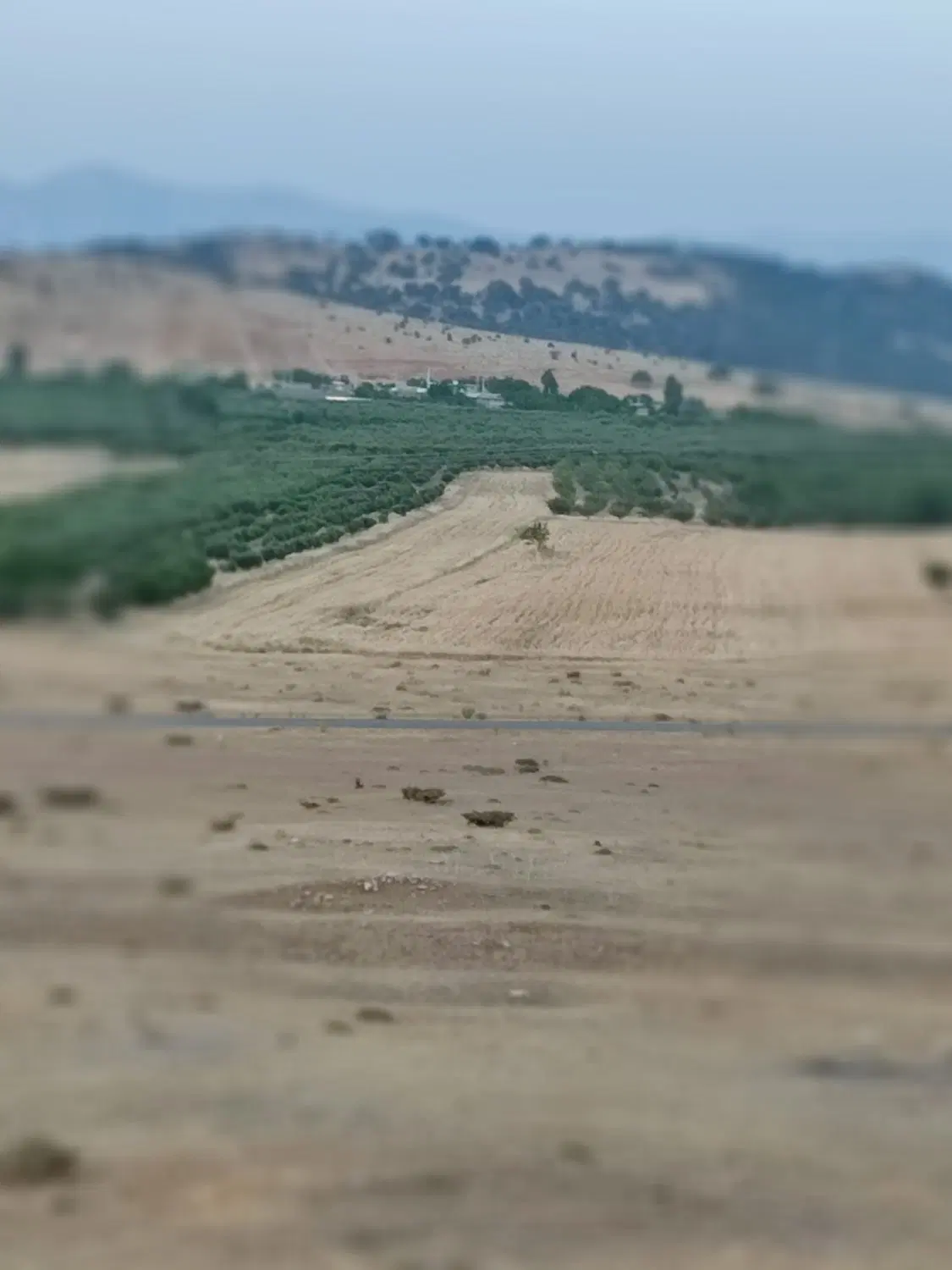 زمین
