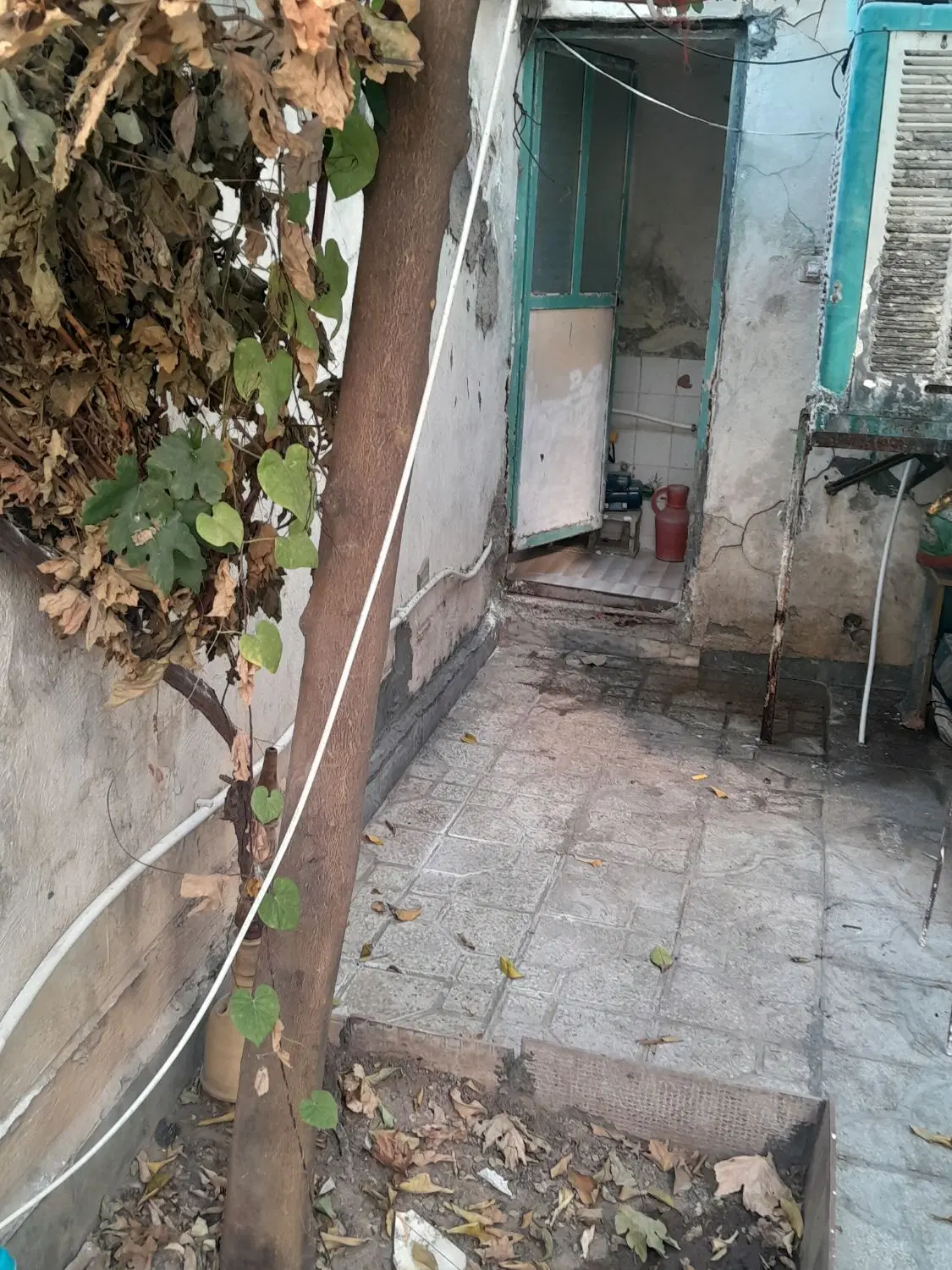 منزل رهن و اجاره داده می شود