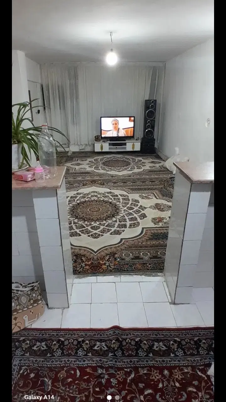 همخونه خانم فقط