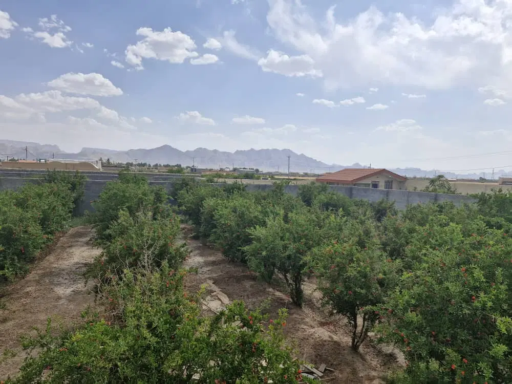 چها دیوار باغ ۵۱۰ متر