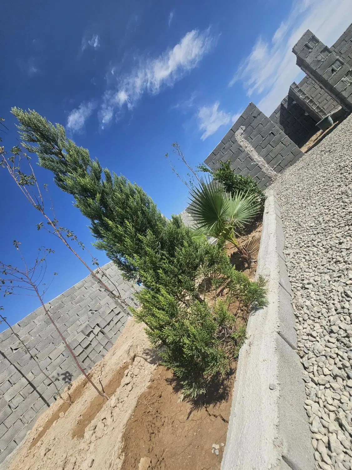 باغ و باغچه چهار دیواری_ باسند_
