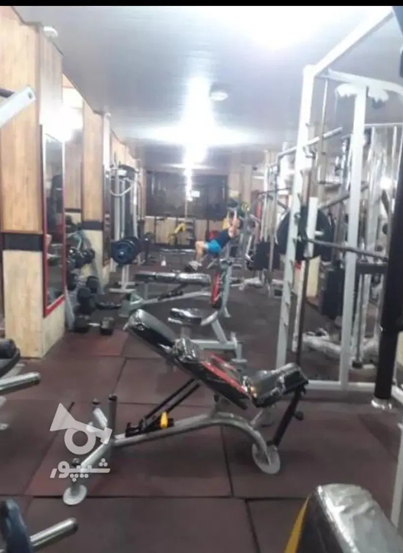 باشگاه ورزشی