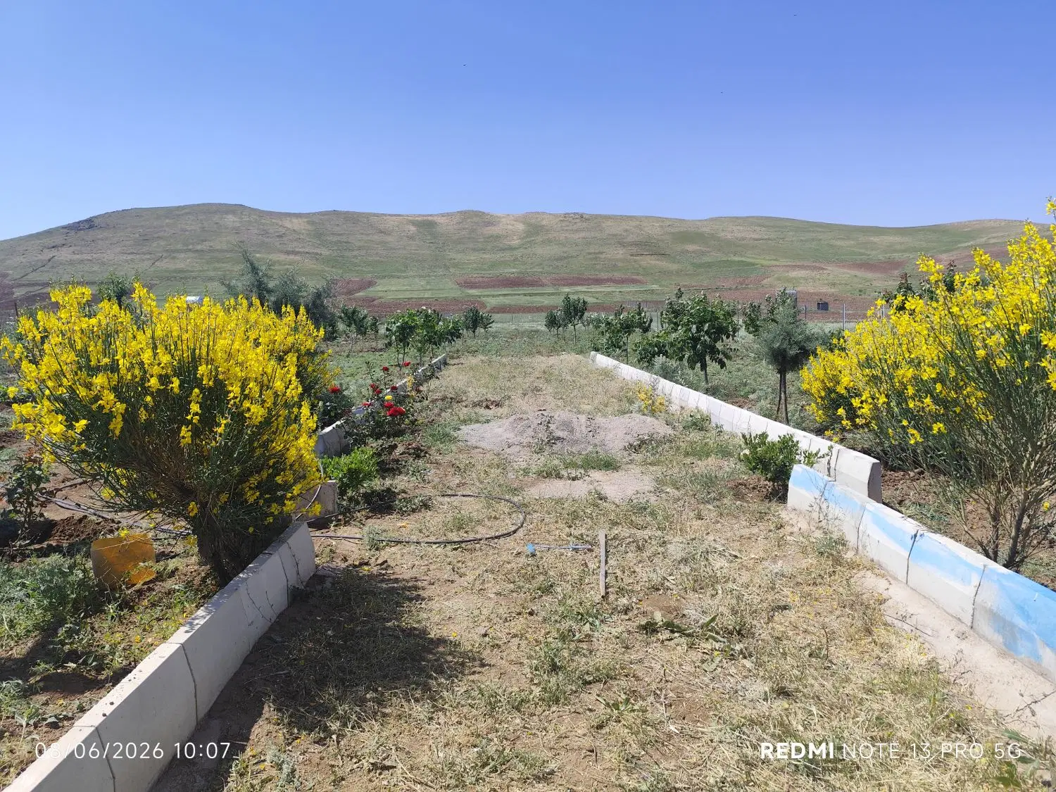 زمین دو کله با مجوز رزجرد