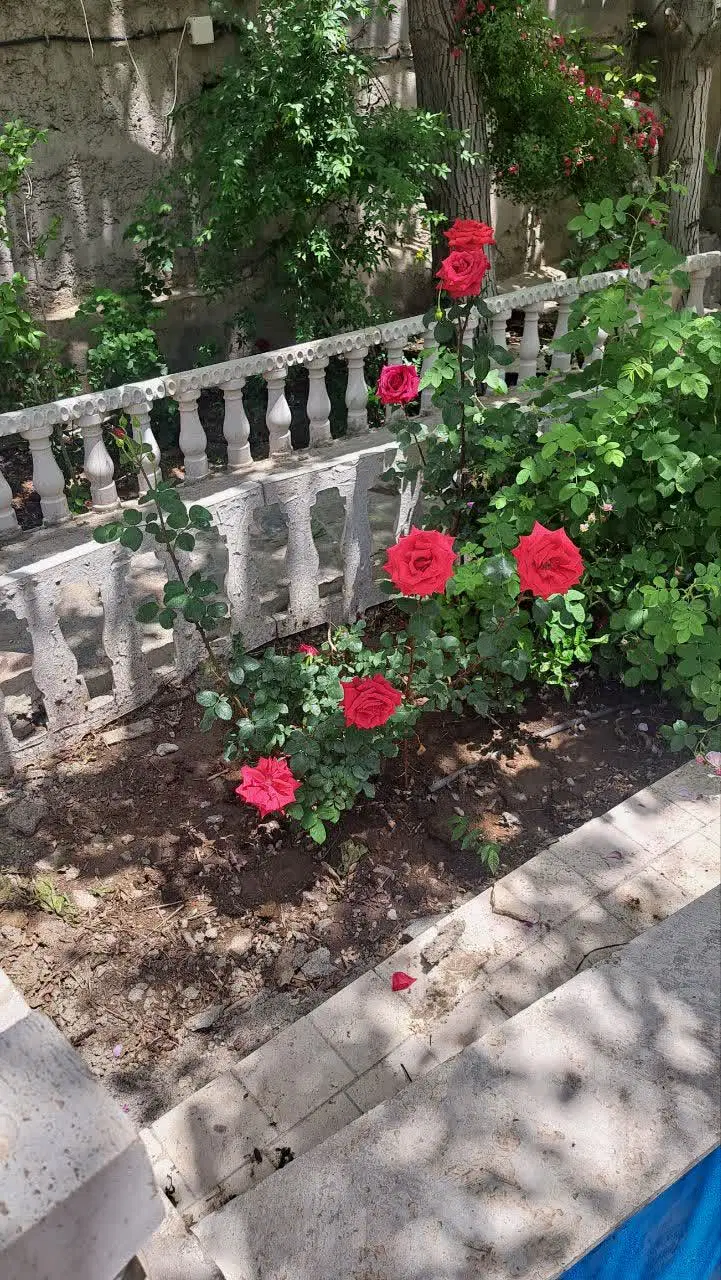 فروش باغ و ویلا با آب روان دائم