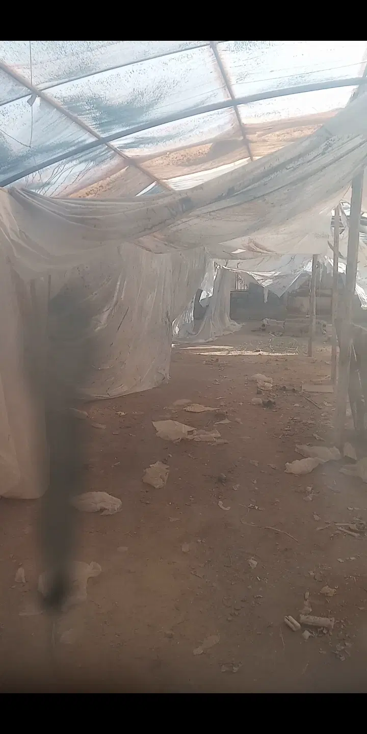 اجاره 260متر زمین محصور با گلخانه‌شهرکرد