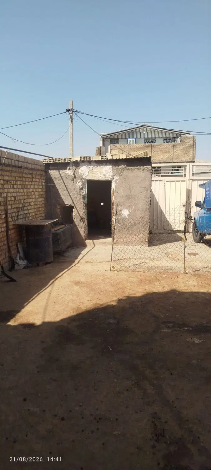 دامداری